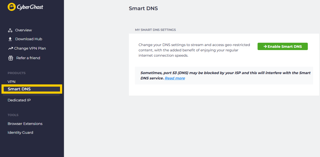 Smart DNS screen with the ability to enable the setting