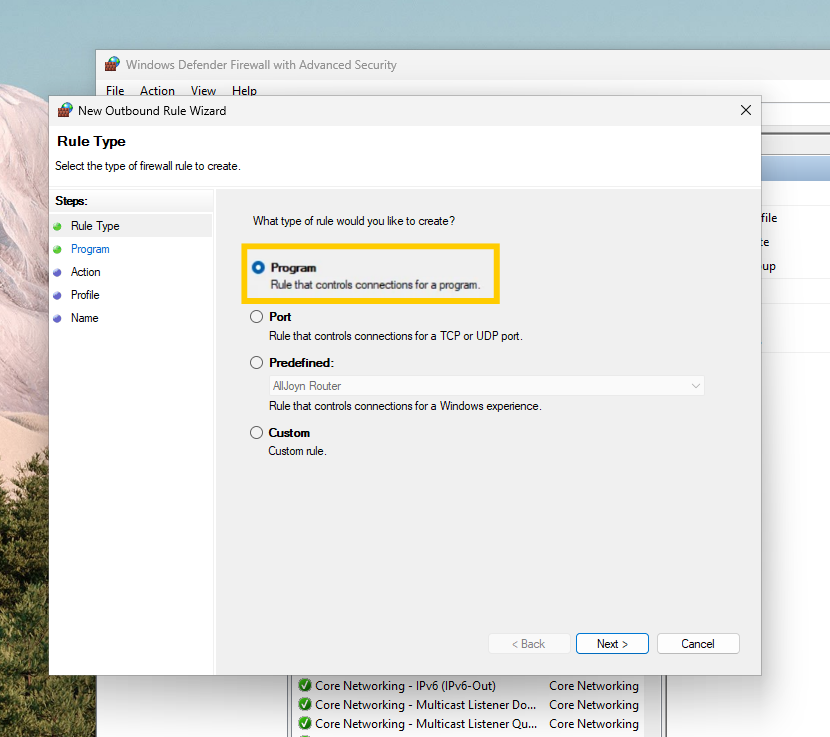Windows Firewall outbound rules settings showing the "Program" checkbox highlighted.