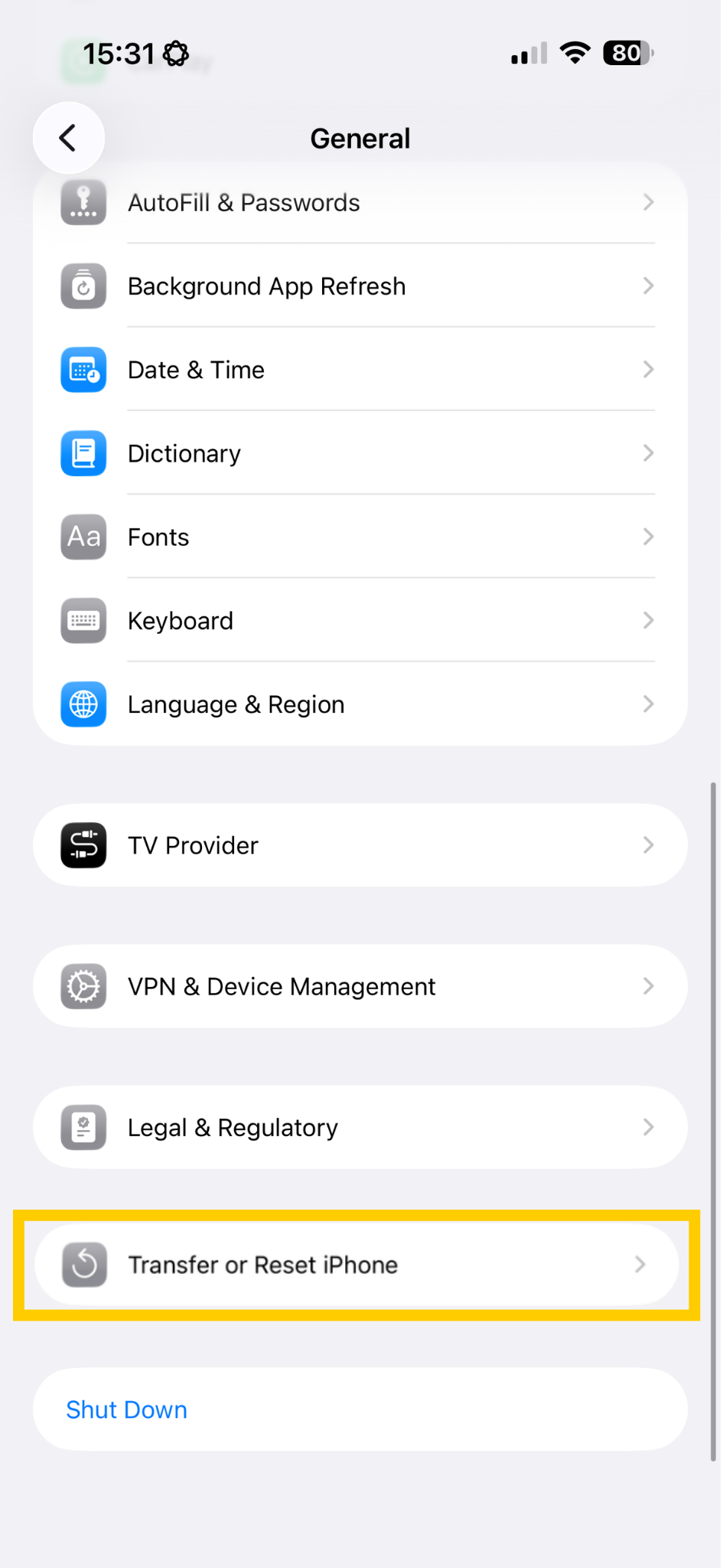 iOS general settings showing Transfer or Reset iPhone highlighted.