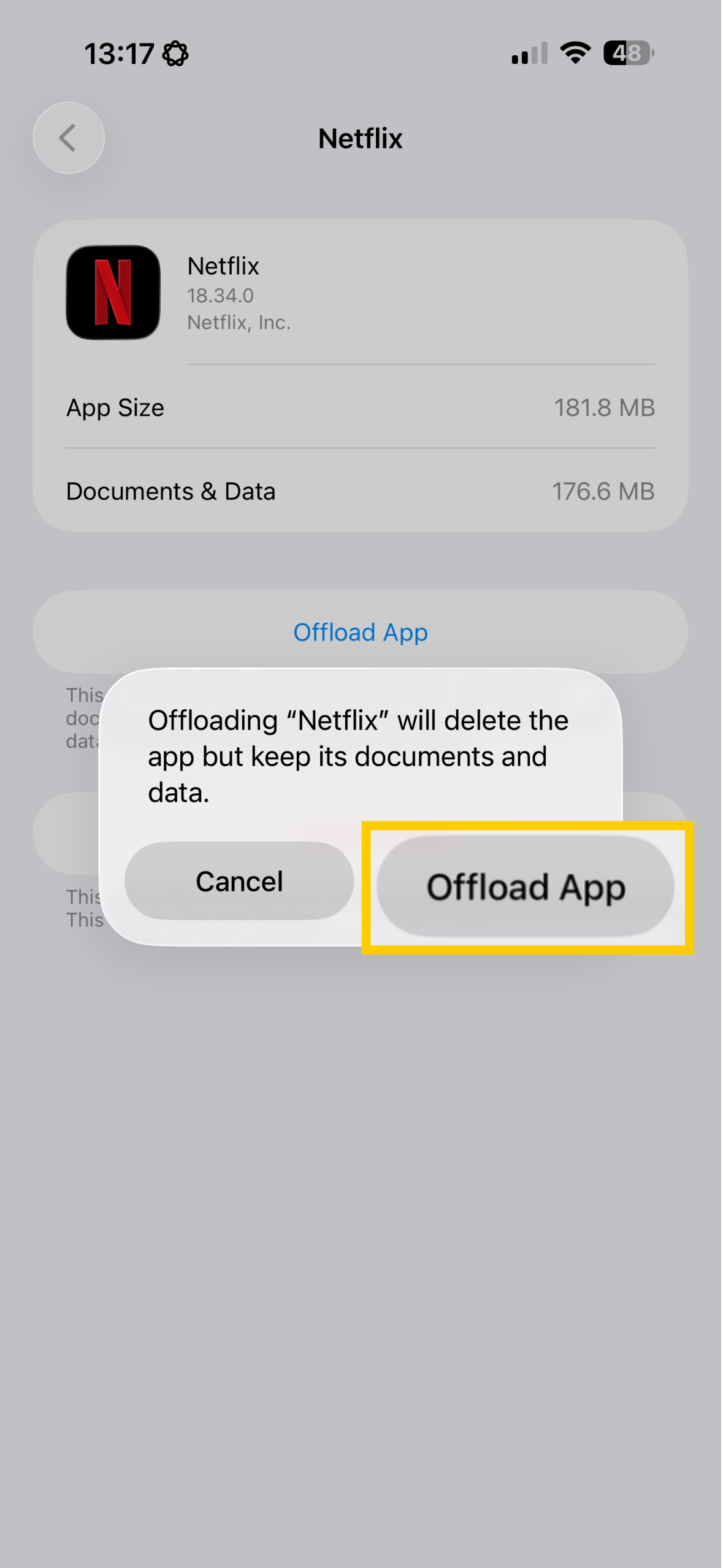 Netflix on iOS showing Offload App.