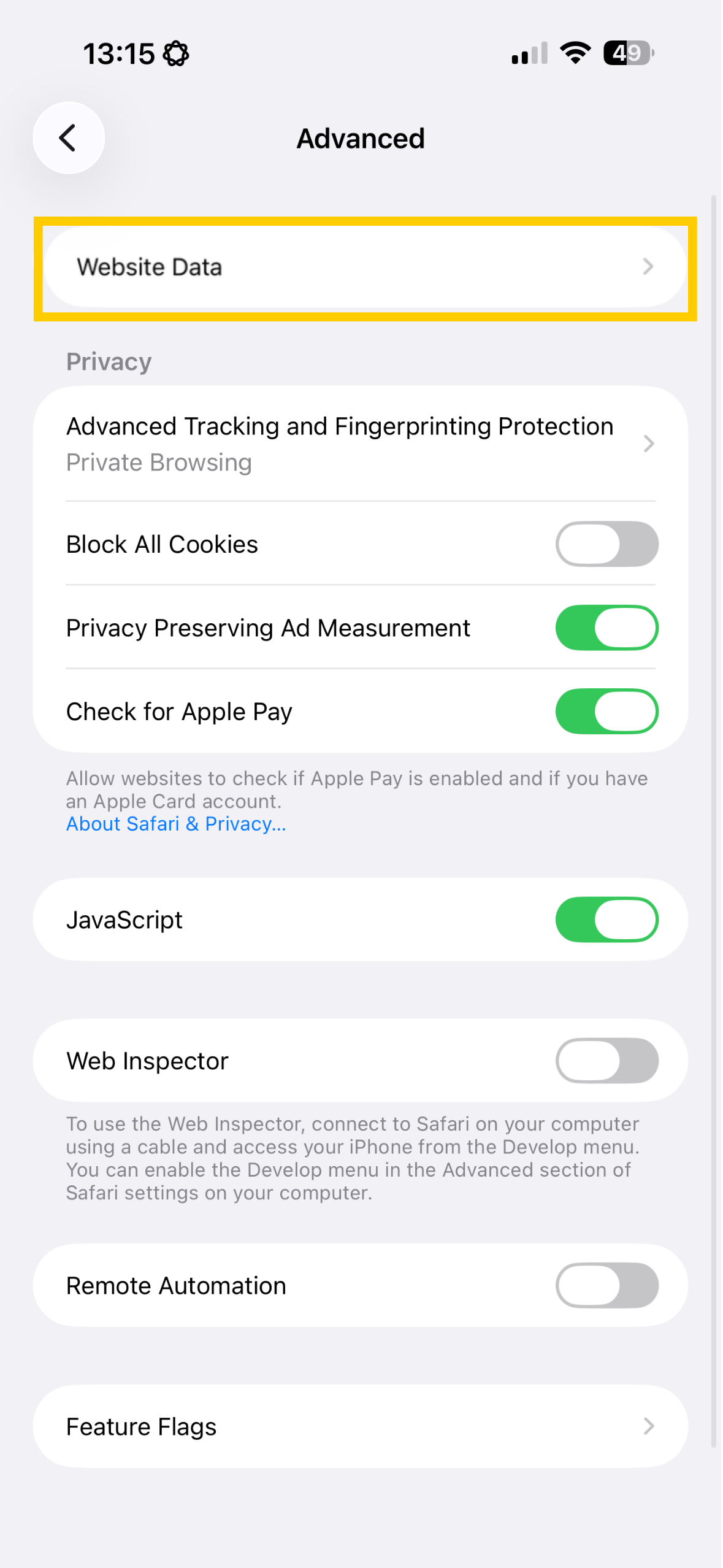 Safari Advanced settings showing Website Data highlighted.