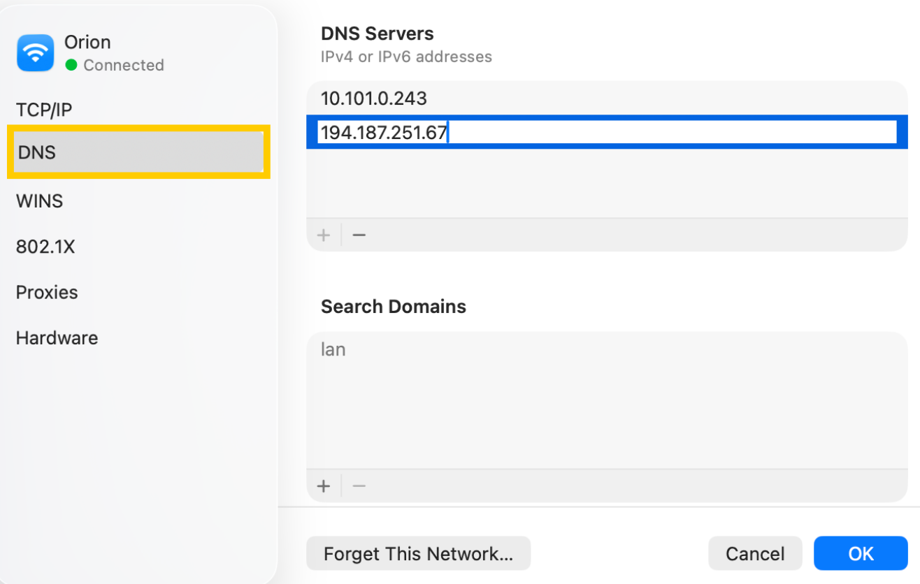 macOS network details showing the DNS tab selected.