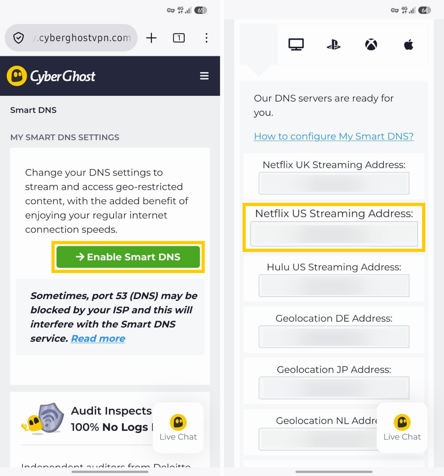 Enabling and finding private DNS servers for CyberGhost VPN.