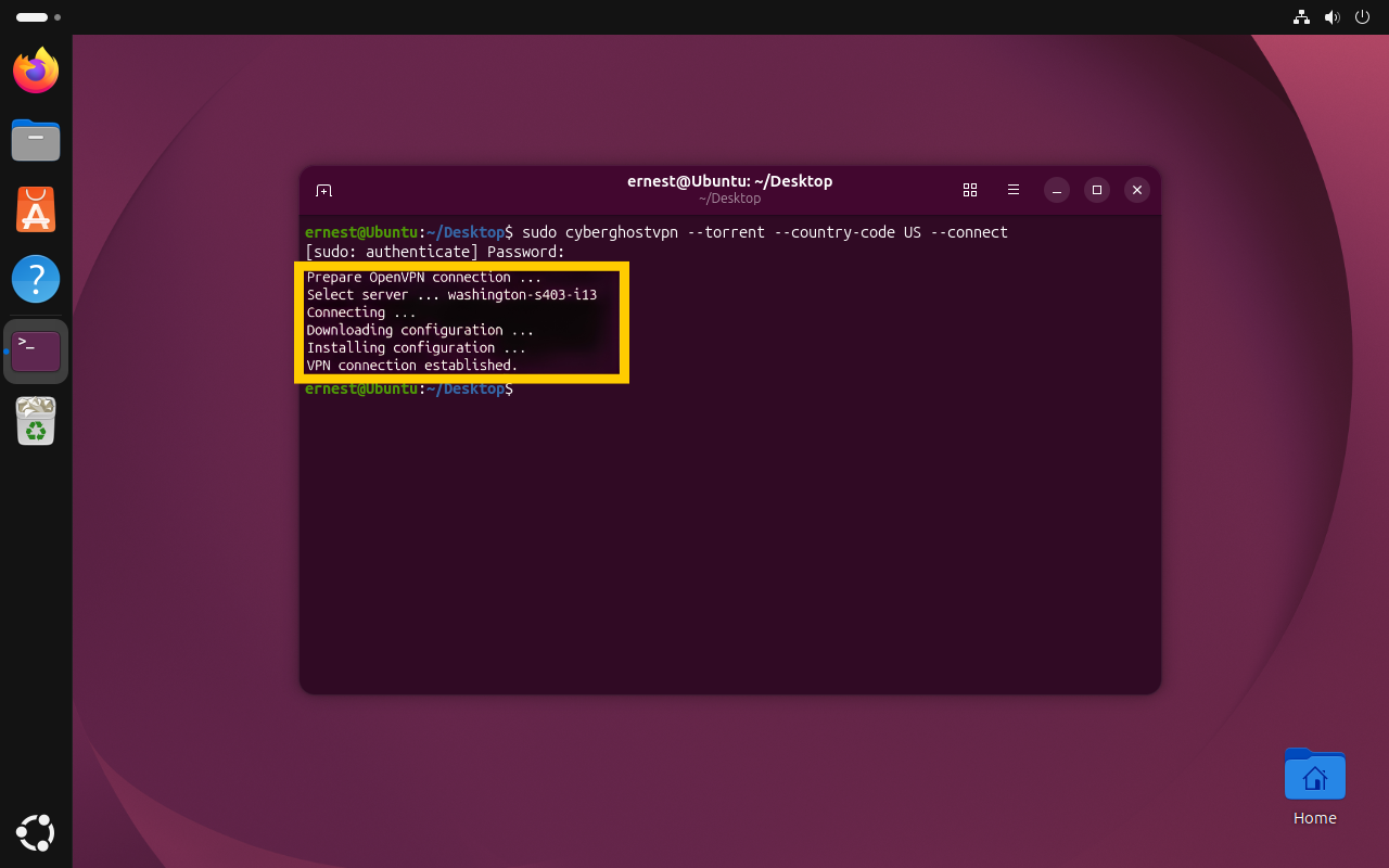 A terminal window showing the successful connection.