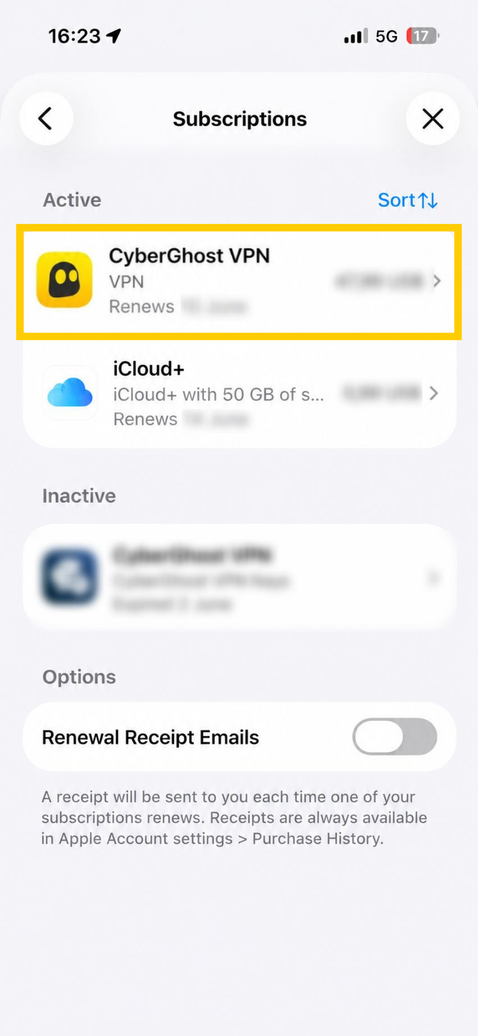 Écran des abonnements iOS, avec CyberGhost VPN en évidence.