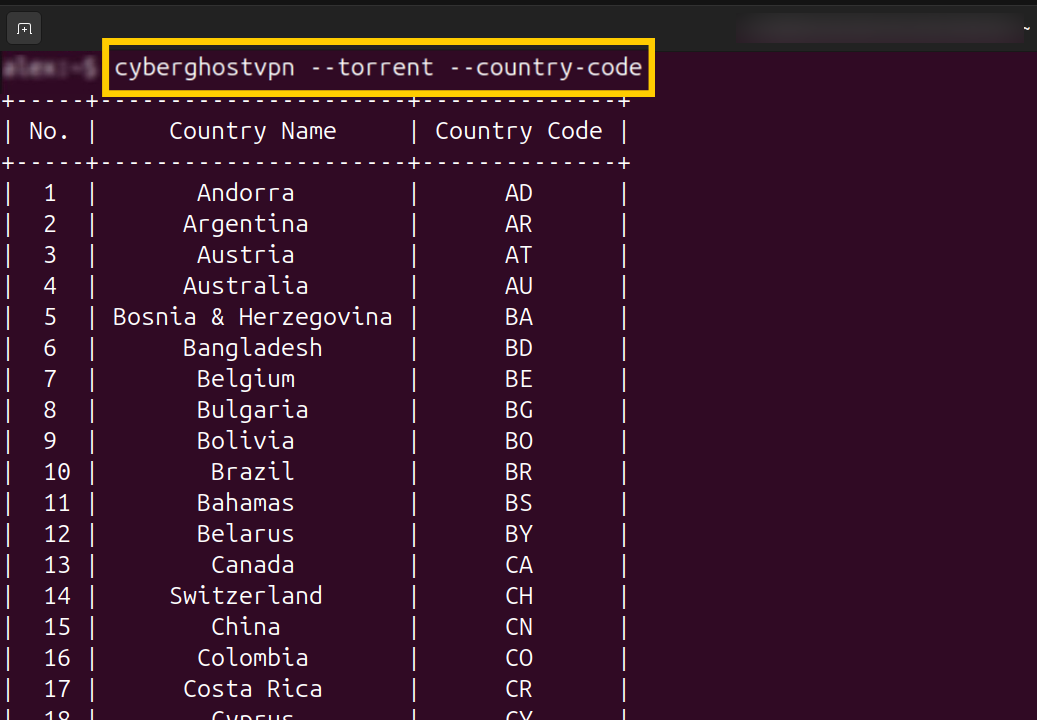 Terminal affichant la commande CyberGhost pour les pays compatibles avec le téléchargement de torrents.