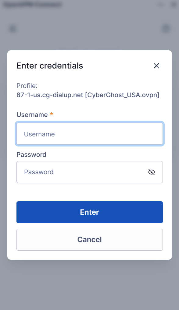 Die Seite mit den Anmeldedaten von OpenVPN Connect für den Zugriff auf einen Serverstandort unter Windows.