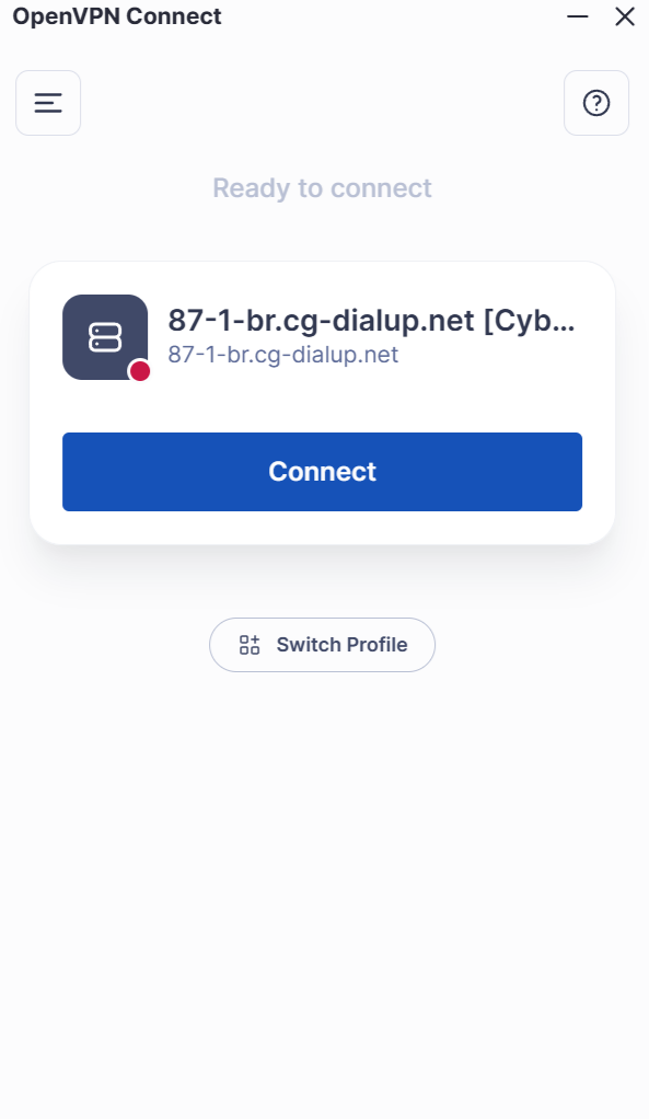 Die Seite für die Serververbindung von OpenVPN Connect unter Windows.