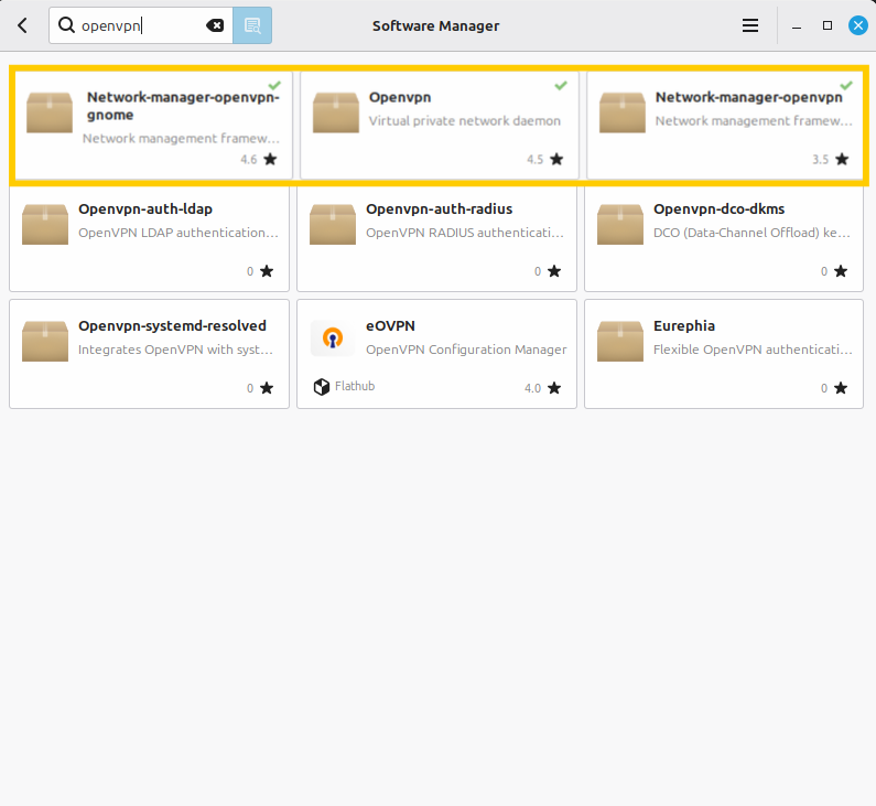 Der Linux Mint-Update-Manager zeigt OpenVPN-Pakete an. 