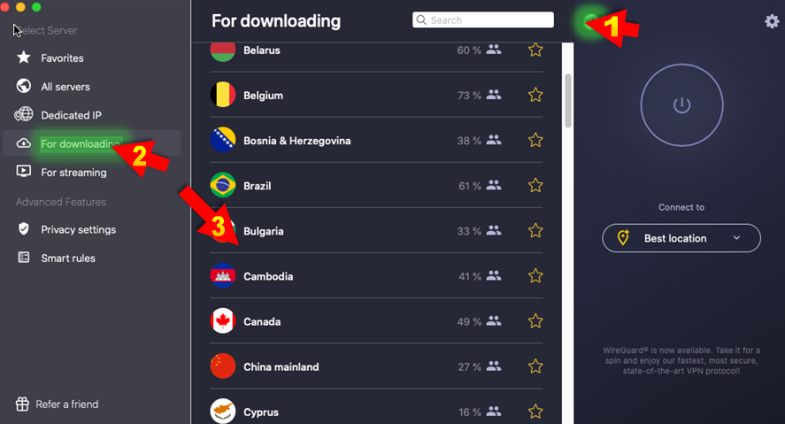 did cyberghost free version support torrent